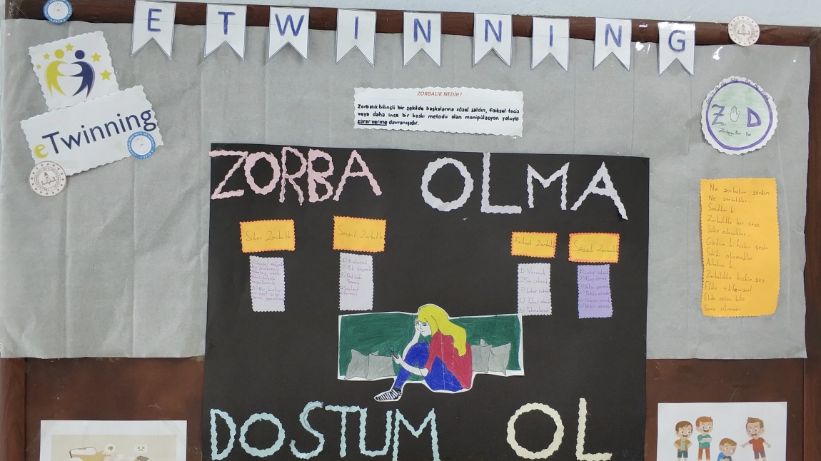Okulumuzda Yürütülen 
